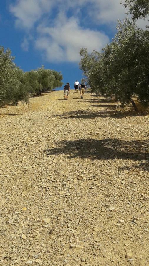 Molino Mairena Βίλα Montefrio Εξωτερικό φωτογραφία